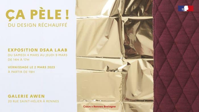 Rennes : exposition "Ça pèle! Du design réchauffé" à la Galerie Awen 1 Actu Awen DSAA LAAB light